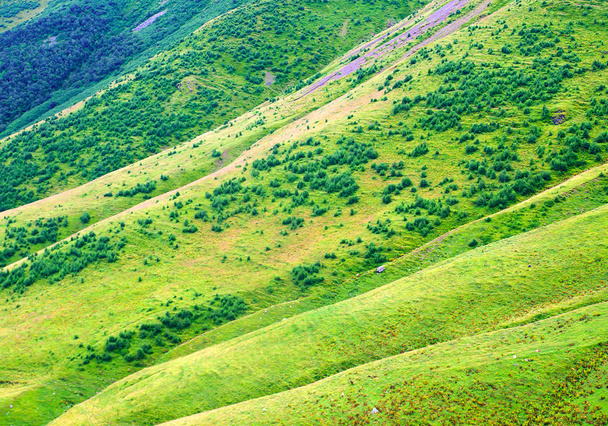 Green hill in mountain valley. - 写真・画像