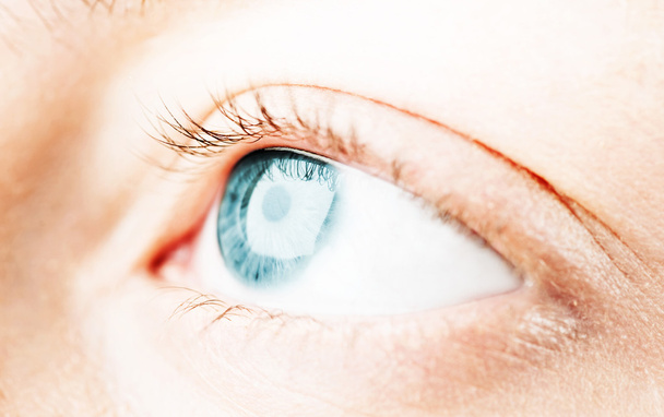 blue eye - Photo, Image