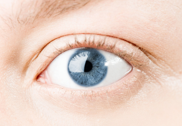 blue eye - Foto, Imagen