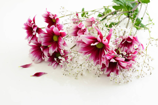 Sfondo di bellissimi fiori
 - Foto, immagini