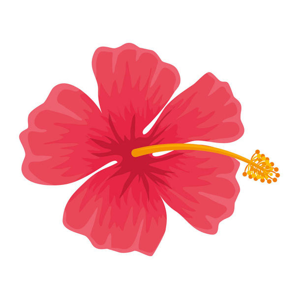 exotic tropical flower icon - Vector, Image