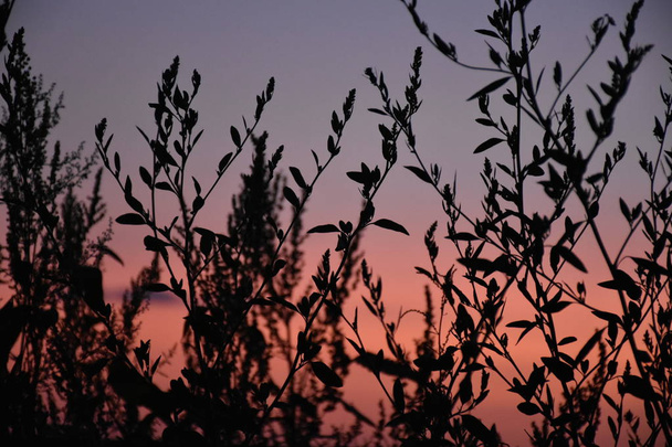 mooie kleurrijke zonsondergang rustige scène  - Foto, afbeelding