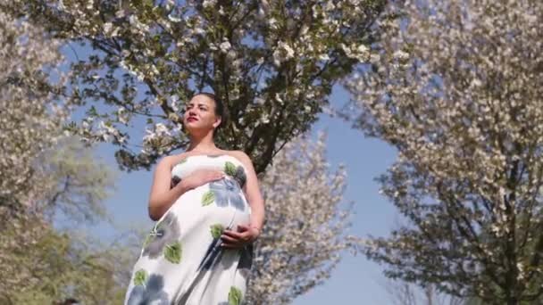 Mutlu genç yakında anne olmak - Genç gezgin hamile kadın çiçek açan sakura kiraz ağaçları çiçek desenli bir yaz ışık uzun elbise giyen bir parkta boş zaman sahiptir - Video, Çekim