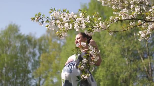 junge Reisende schwangere Frau genießt ihre Freizeit in einem Park mit blühenden Sakura-Kirschbäumen in einem sommerlichen hellen langen Kleid mit Blumenmuster - europäische Ostseestadt Riga, Lettland - Filmmaterial, Video