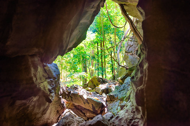 Θέα από το εσωτερικό στην είσοδο του φυσικού σπηλαίου - Φωτογραφία, εικόνα