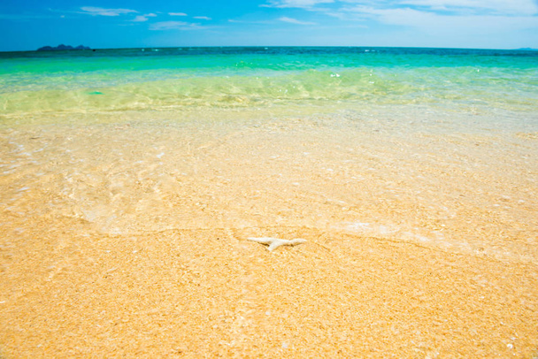 Merimaisema korallilla hiekkarannalla trooppisella rannalla
 - Valokuva, kuva