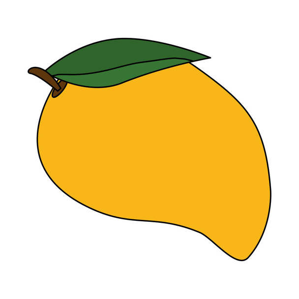 mango taze meyve sağlıklı - Vektör, Görsel