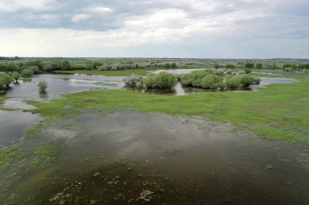 Inundaciones en el delta del Volga, Rusia
 - Foto, imagen