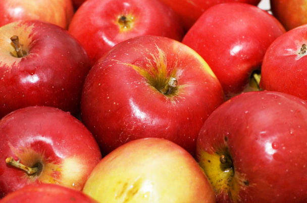 rote Äpfel auf dem Tablett angeordnet - Foto, Bild
