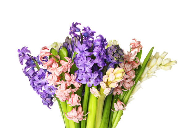 Beautiful hyacinth flowers on white background - Photo, Image