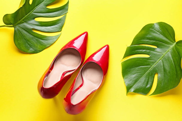 Pair of stylish female shoes and tropical leaves on color background - Foto, Imagem