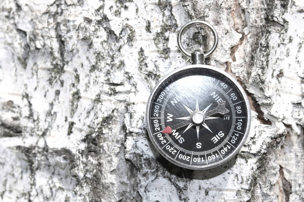 Classic compass on natural wooden background with birch bark texture - Photo, Image