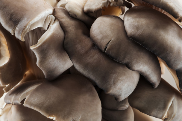 close up view of white raw textured mushrooms in heap - Foto, Imagem