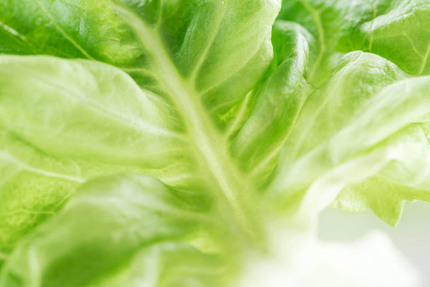 close up view of fresh natural green lettuce leaf - Fotoğraf, Görsel