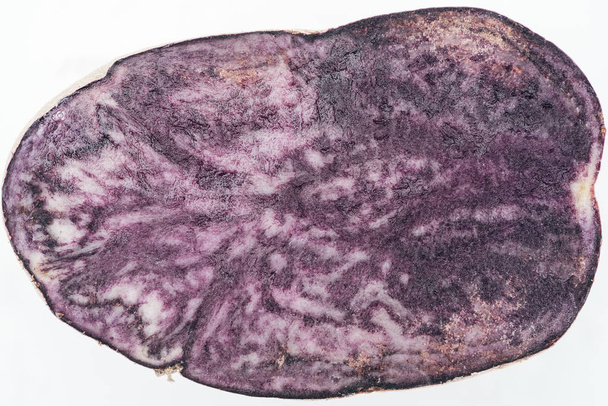 close up view of cut purple radish slice isolated on white - Photo, Image