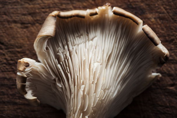 close up view of raw fresh mushroom on textured wooden background - Foto, imagen