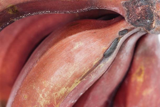 close up view of ripe exotic tasty red bananas - 写真・画像