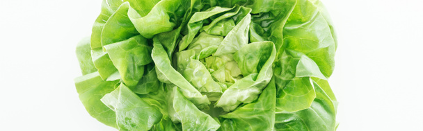 panoramic shot of green fresh organic lettuce leaves isolated on white - Foto, imagen