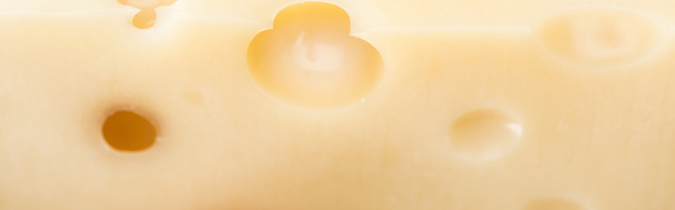 panoramic shot of textured yellow cheese with wholes - Foto, Bild