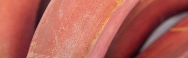 plano panorámico de plátanos rojos tropicales maduros sabrosos
 - Foto, imagen