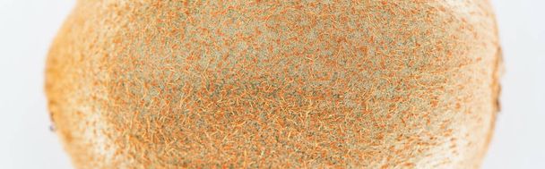dokulu kahverengi kabuğu ile bütün kivi yakın görünümü, panoramik çekim - Fotoğraf, Görsel