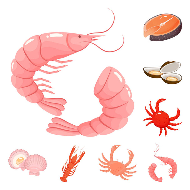 Vector design of food and sea symbol. Collection of food and healthy stock symbol for web. - ベクター画像