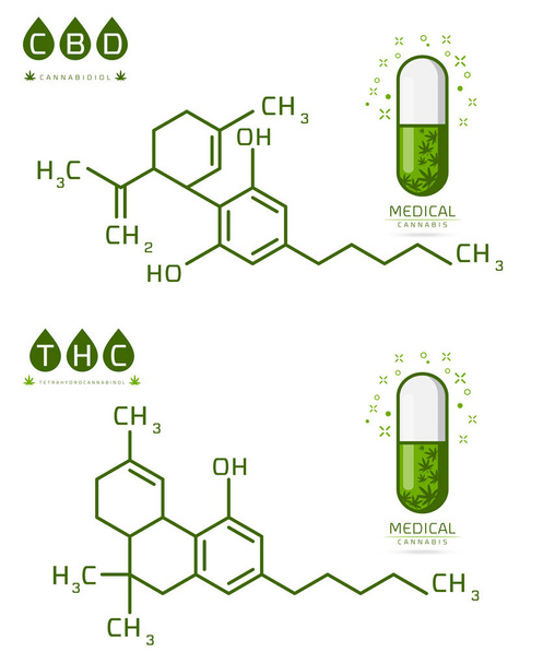 Thc and cbd of Cannabis molecule formula vector illustration - Vector, Image