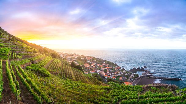 Gün batımında Seixal belediyesinin yukarısında Madeira 'nın Wineyards' ı - Fotoğraf, Görsel