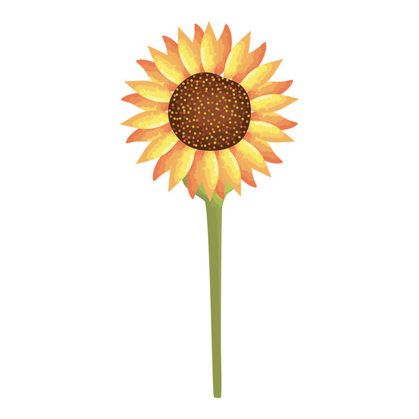 hermoso icono decorativo flor
 - Vector, Imagen