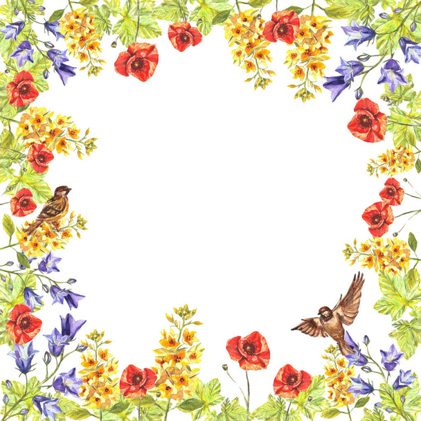Watercolor square frame of eremurus, puppies, bluebells, leaves, sparrows - Φωτογραφία, εικόνα