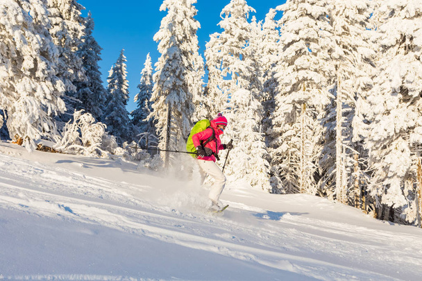 Girl snowshoeing on a sunny day - Φωτογραφία, εικόνα