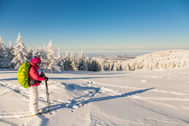Дівчина катається на снігоступах у сонячний день
 - Фото, зображення