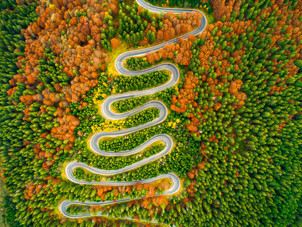 Vue aérienne de la route sinueuse à travers la forêt colorée d'automne - Photo, image