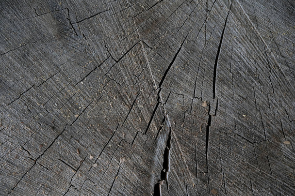 Absztrakt fa textúrájú természetes kialakítás - Fotó, kép
