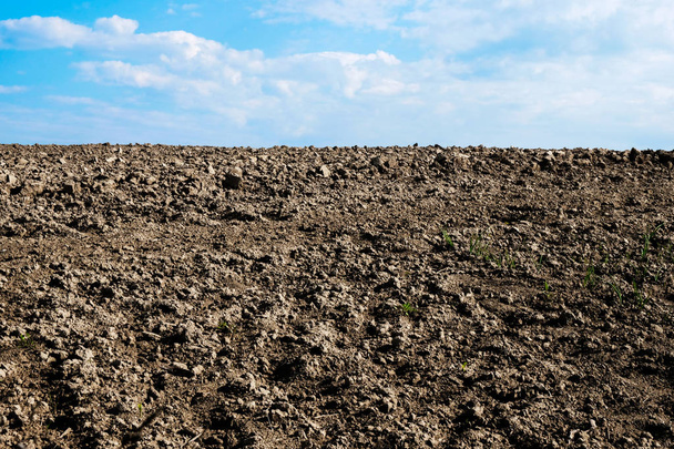 Zaorane pole izolowane w porannym słońcu na Ukrainie. Kopiuj przestrzeń. - Zdjęcie, obraz