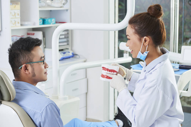 Jeune dentiste tenant un modèle de dents en plastique et expliquant la procédure des nouveaux implants dentaires à sa patiente assise dans une chaise dentaire à la stomatologie
 - Photo, image