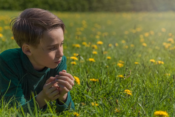 portrait of a boy resting in a field with yellow dandelions , child on a country walk - Foto, Bild