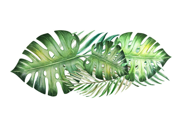 tropical leaves watercolor illustration on white background - Photo, Image