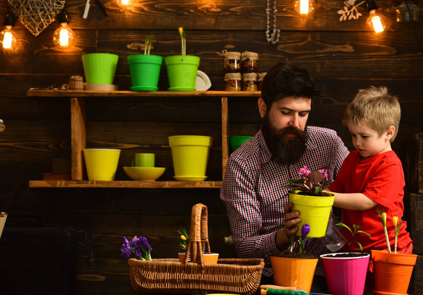Flower care watering. Soil fertilizers. happy gardeners with spring flowers. Father and son. Fathers day. Family day. Greenhouse. bearded man and little boy child love nature. Pulling weeds - 写真・画像