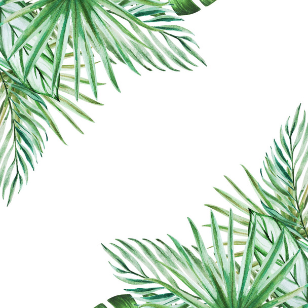 marco de hojas tropicales, ilustración de acuarela
 - Foto, Imagen
