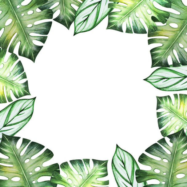 tropical leaves frame, watercolor illustration - 写真・画像