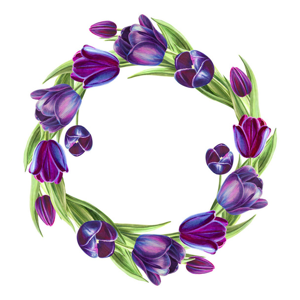 tulips frame illustration on white background - Foto, Bild