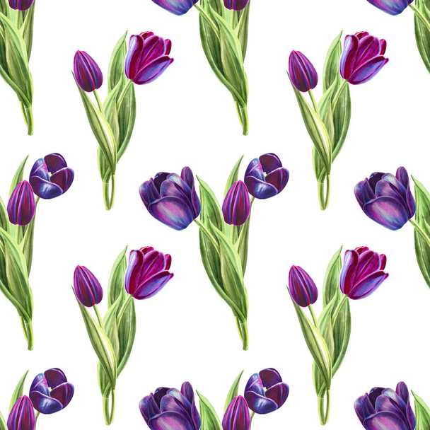 tulips background illustration, seamless pattern - Zdjęcie, obraz