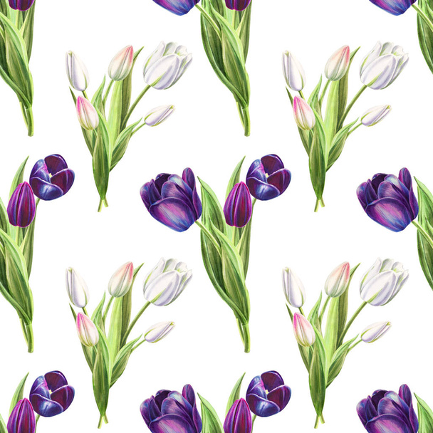 tulpen achtergrond illustratie, naadloze patroon - Foto, afbeelding