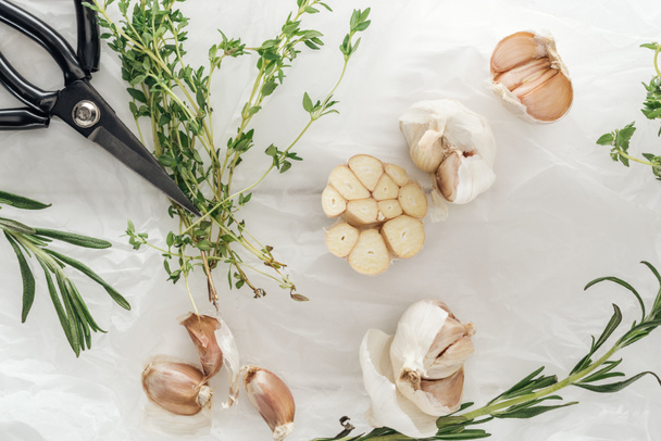 top view of garlic cloves, scissors, rosemary and thyme on white paper background - Photo, Image