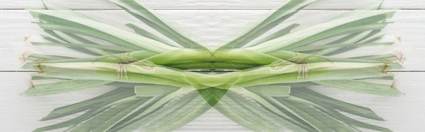 double exposure of of fresh green leek on white wooden table, panoramic shot - Fotoğraf, Görsel
