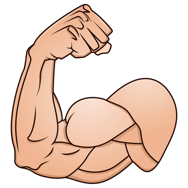 Un braccio forte che mostra la sua illustrazione muscolare bicipite
 - Vettoriali, immagini