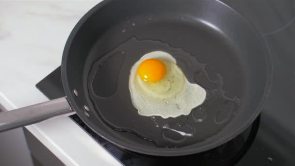 Preparation of eggs in pan - Felvétel, videó