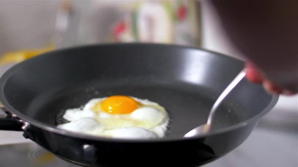 Preparation of eggs in pan - Záběry, video