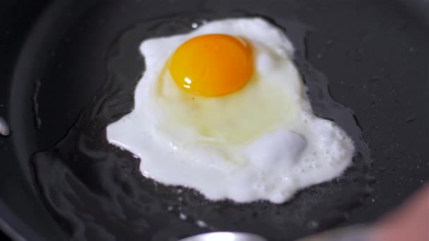 Preparation of eggs in pan - Кадри, відео
